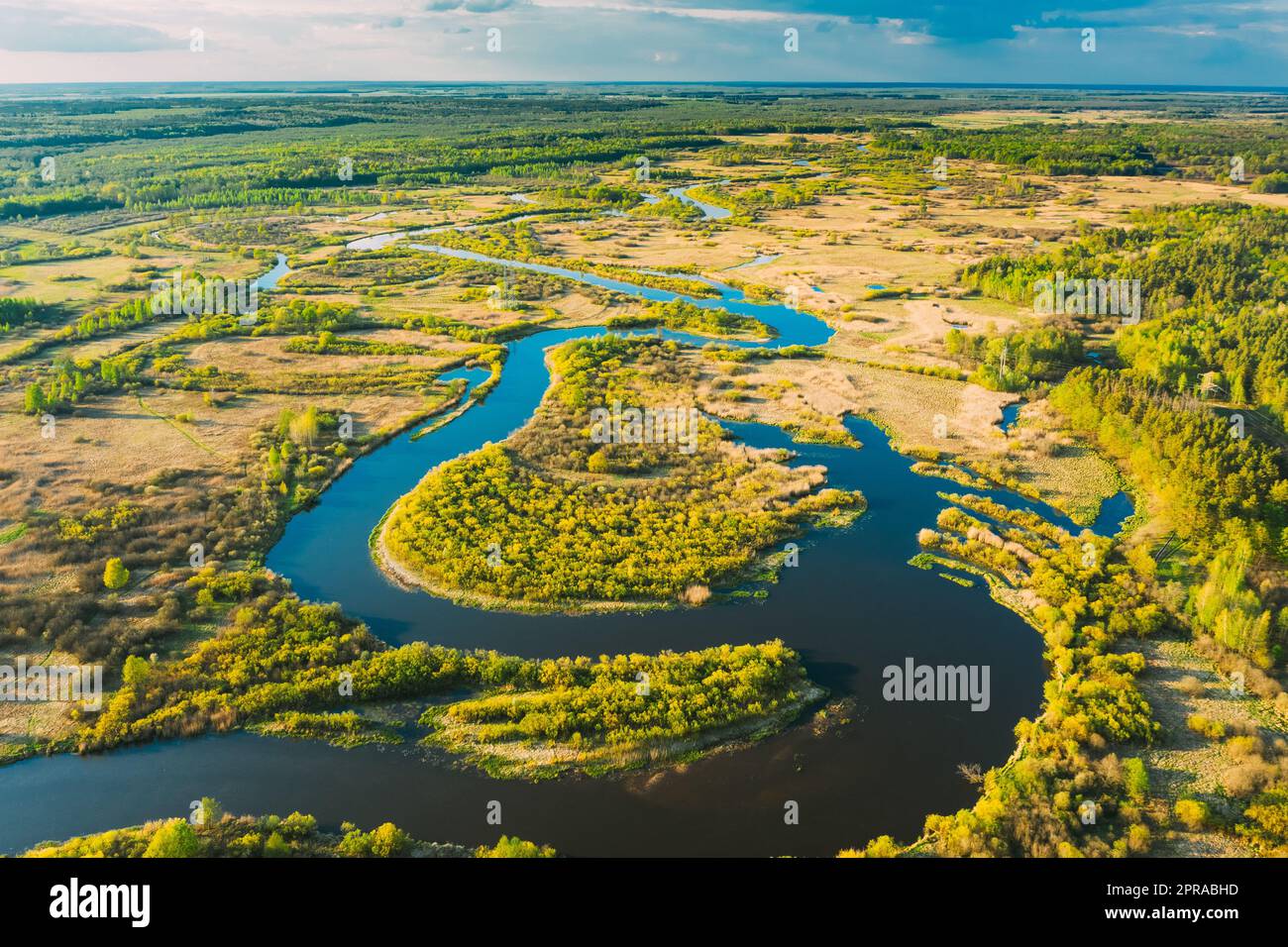 Blick Aus Der Vogelperspektive Auf Grüne Waldwälder Und Flusslandschaft Am Sonnigen Sommertag Im Frühling. Top-Blick Auf Die Wunderschöne Europäische Natur Von High Attitude In Der Herbstsaison. Drohnenansicht. Vogelperspektive Stockfoto