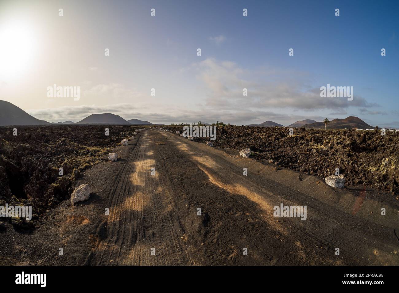 Typische vulkanische Landschaft. Straße in die Ferne. Lanzarote, Kanarische Inseln. Spanien. Stockfoto