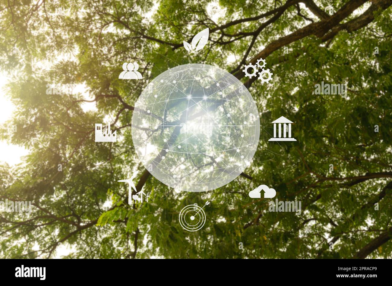 Global Symbol eco Nachhaltiges Geschäft über Netzanbindung auf grünem Baumhintergrund Umweltsymbol Eg und Netto-Null-Konzept. Stockfoto