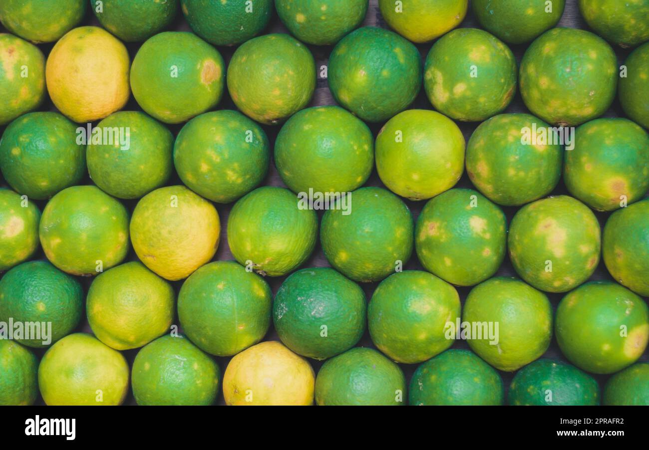 Vollformat-Foto von Fresh Green Mausami, süße Zitrone zum Verkauf auf dem Markt, Obst Hintergründe Stockfoto