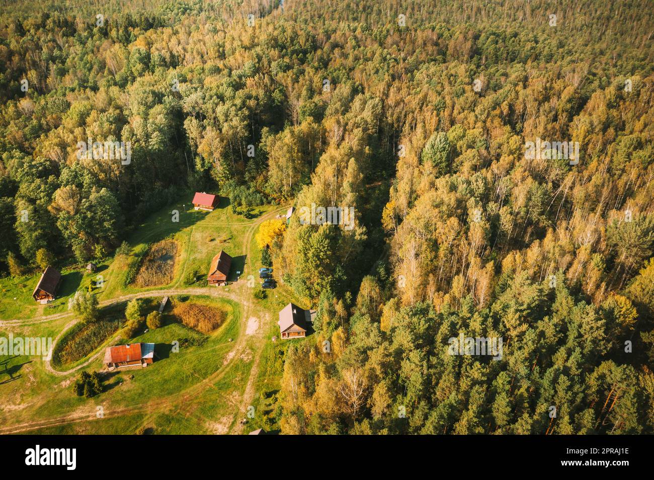 Weißrussland, Biosphärenreservat Beresinsky. Blick aus der Vogelperspektive auf den Touristenkomplex Nivki am sonnigen Herbsttag. Panorama Stockfoto