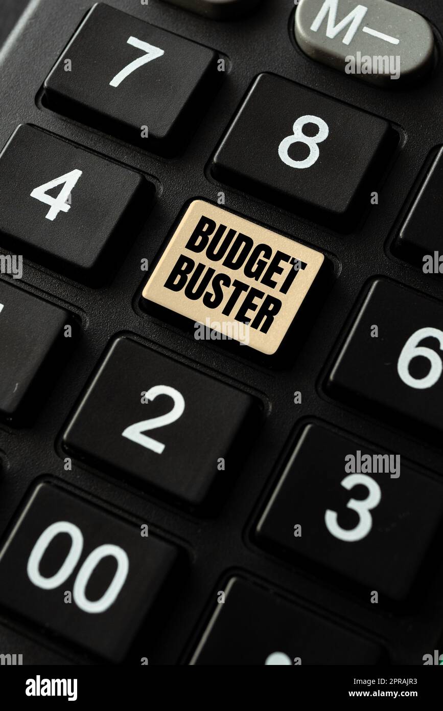 Schreiben mit Anzeige des Textes Budget Buster. Internetkonzept Sorglose Ausgaben Bargeldeinnahmen Unnötige Käufe Überschreitung Der Ausgaben -48883 Stockfoto