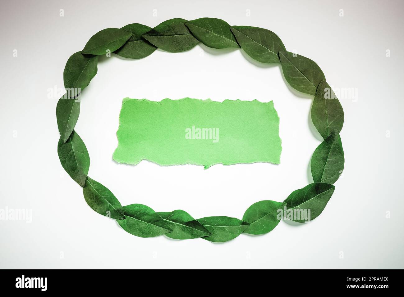 Ersetzen Des Alten Hintergrundbilds, Erstellen Eines Neuen Wandmusters, Akademischer Durchbruch, Anzeigen Des Fortschritts, Anzeigen Der Entwicklung, Präsentation Anderer Ergebnisse Stockfoto