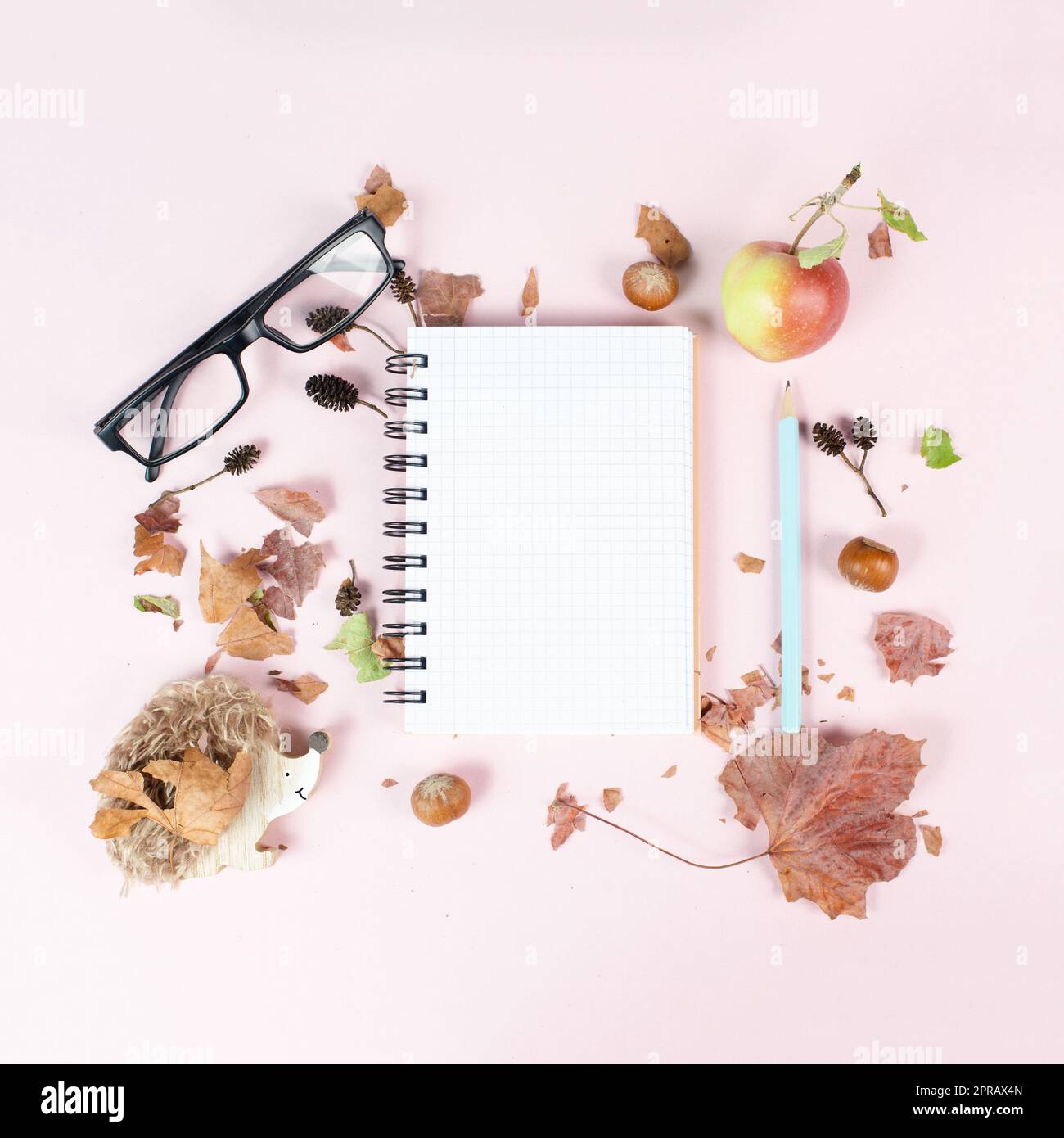 Leeres Notizbuch mit Apfel und Igel, Herbstvorlage mit bunten Blättern, Schreibtisch, Pastellfarbe Stockfoto