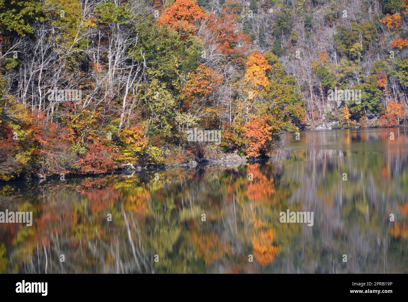 Fort patrick henry see Fotos und Bildmaterial in hoher Auflösung Alamy
