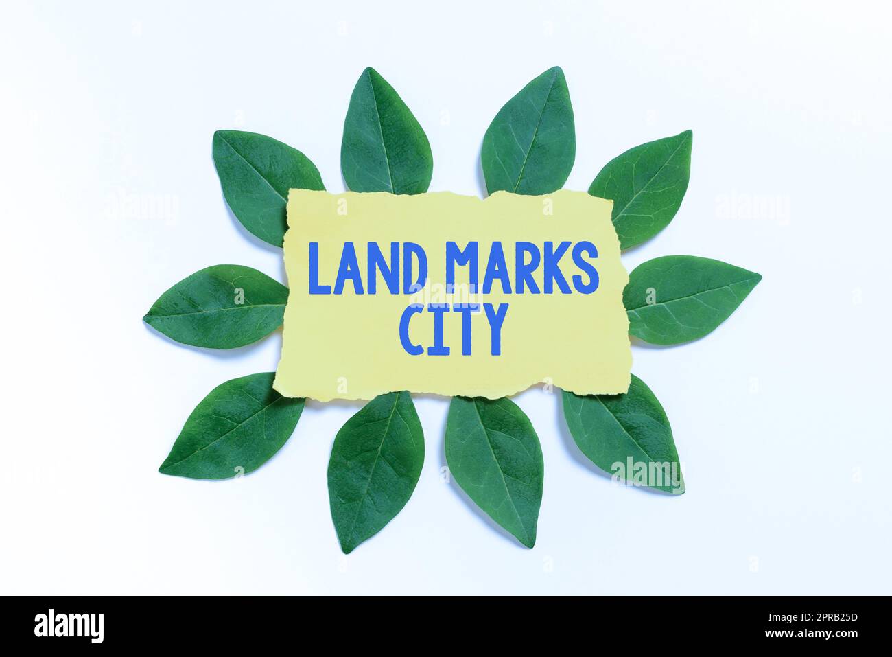 Handschriftlicher Text Land Marks City. Unternehmen präsentieren wichtige architektonische Orte in den Städten, um Blank Color Paper umgeben von Blättern für die Einladungskarte zu besuchen. Stockfoto