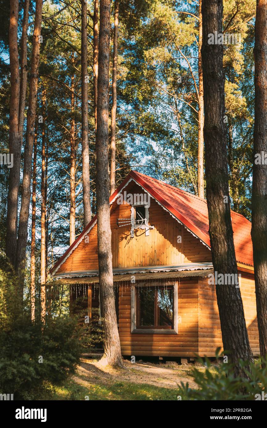 Tourist Guest House Für Ruhe. Holzhaus Im Wald Im Herbst Sonnentag Stockfoto
