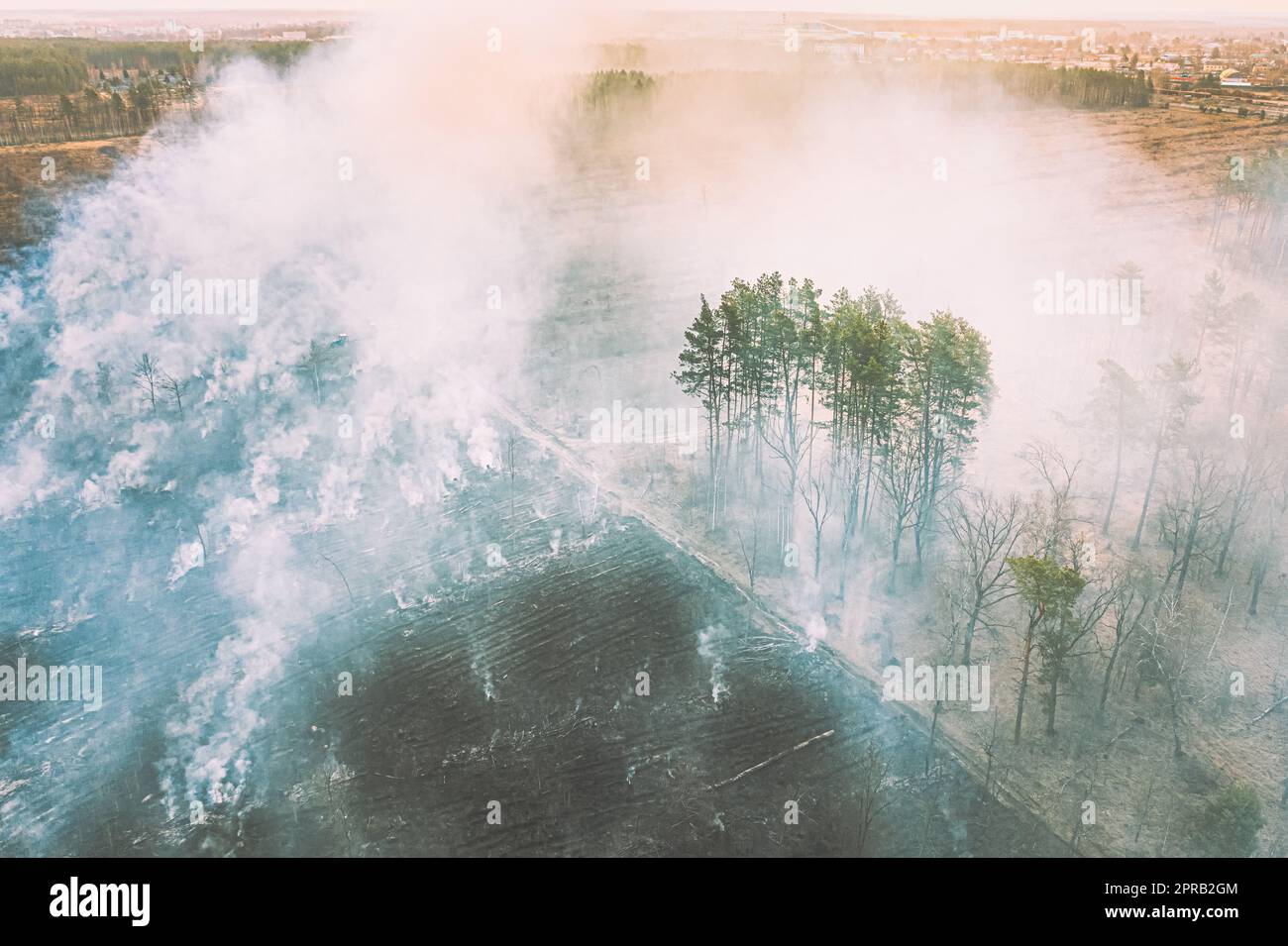 Luftaufnahme. Trockenes Gras Im Frühling Brennt Bei Dürre Und Hitze. Busch, Feuer Und Rauch Im Wald. Wild Open Fire Zerstört Gras. Natur In Gefahr. Umweltproblem Luftverschmutzung. Naturkatastrophe. Stockfoto