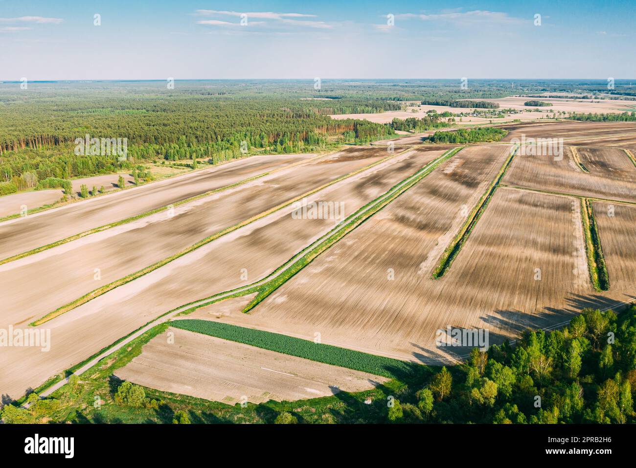 Luftaufnahme, Leeres Feld Mit Windschutz, Landschaft. Draufsicht Auf Field Und Forest Belt. Drohnenansicht Vogelperspektive. Ein Windschutz oder Schutzgürtel ist eine Pflanzung, die normalerweise den Boden vor Erosion schützt. Stockfoto
