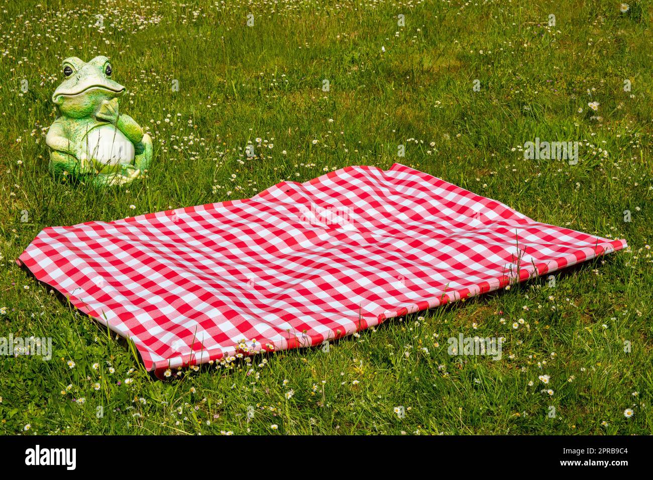 Rote Picknickdecke. Rotes kariertes Picknicktuch auf einer blühenden Wiese mit Gänseblümchen. Schöner Hintergrund für die Produktplatzierung oder -Montage. Frosch im Hintergrund. Stockfoto
