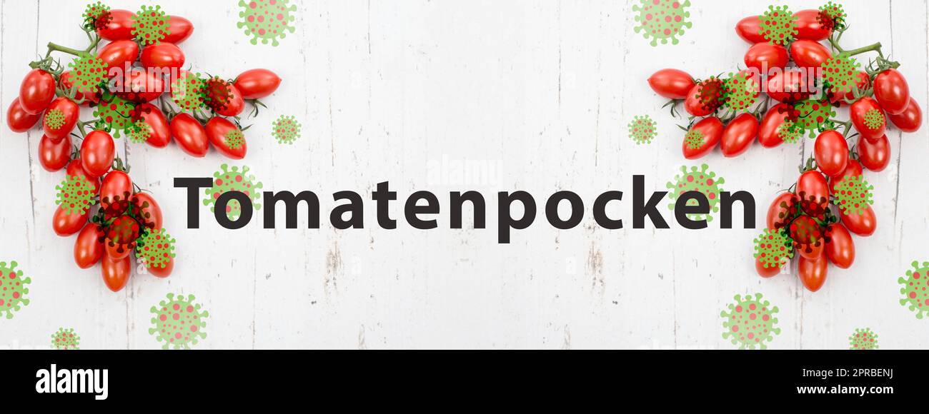 Tomatenpocken, Ausbruch des Virus in Indien, Infektionskrankheit breitet sich aus Stockfoto