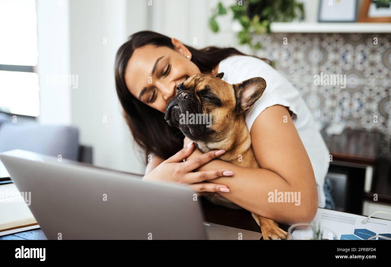 Ein Haus ist nie einsam, wo ein liebevoller Hund wartet. Eine junge Frau, die mit ihrem Hund auf dem Schoß sitzt, während sie von zu Hause aus arbeitet. Stockfoto