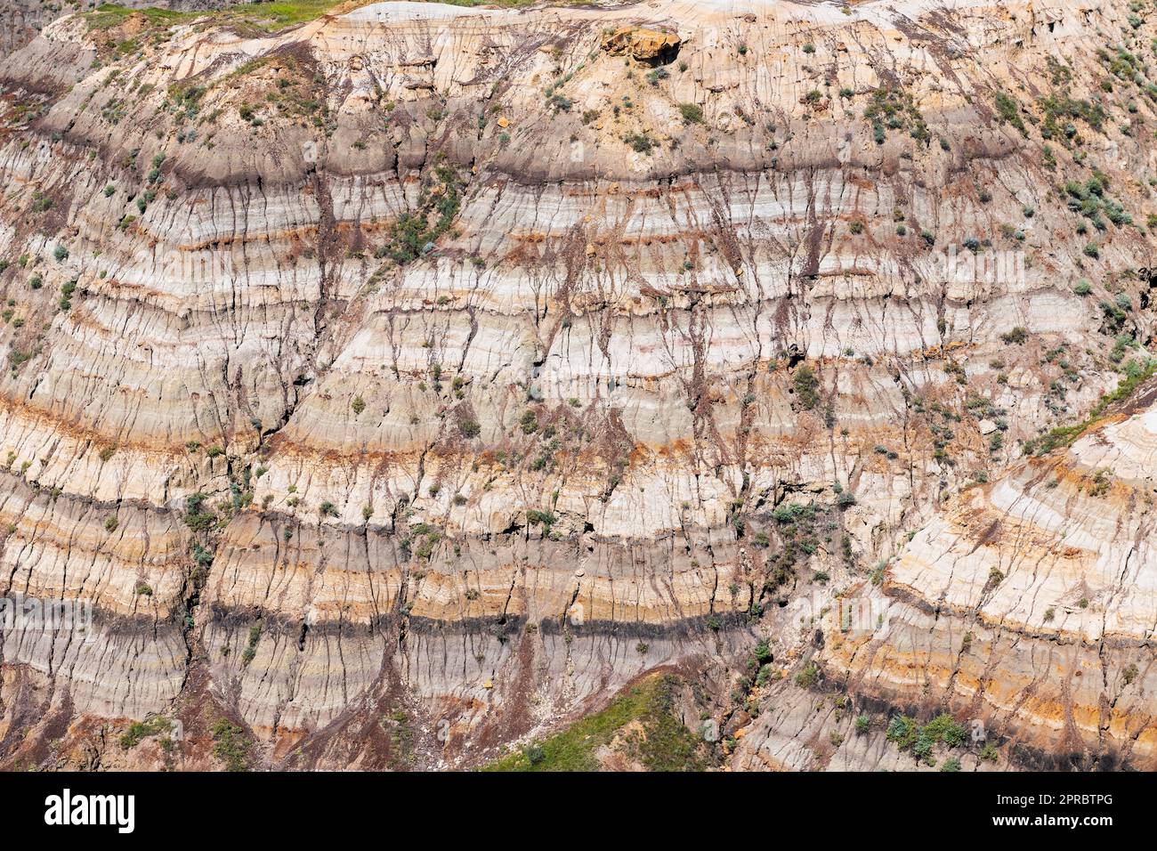 Drumheller Rock Stratifications aus nächster Nähe, Dinosaur Provincial Park, Drumheller, Alberta, Kanada. Stockfoto