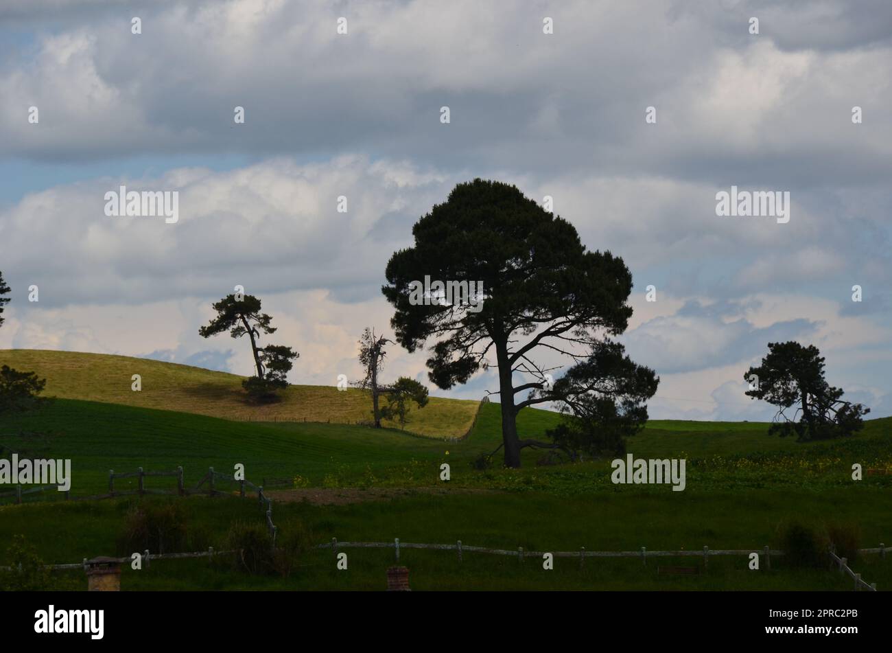 Hobbiton-Filmset und Hobbiton-Häuser in Neuseeland Stockfoto