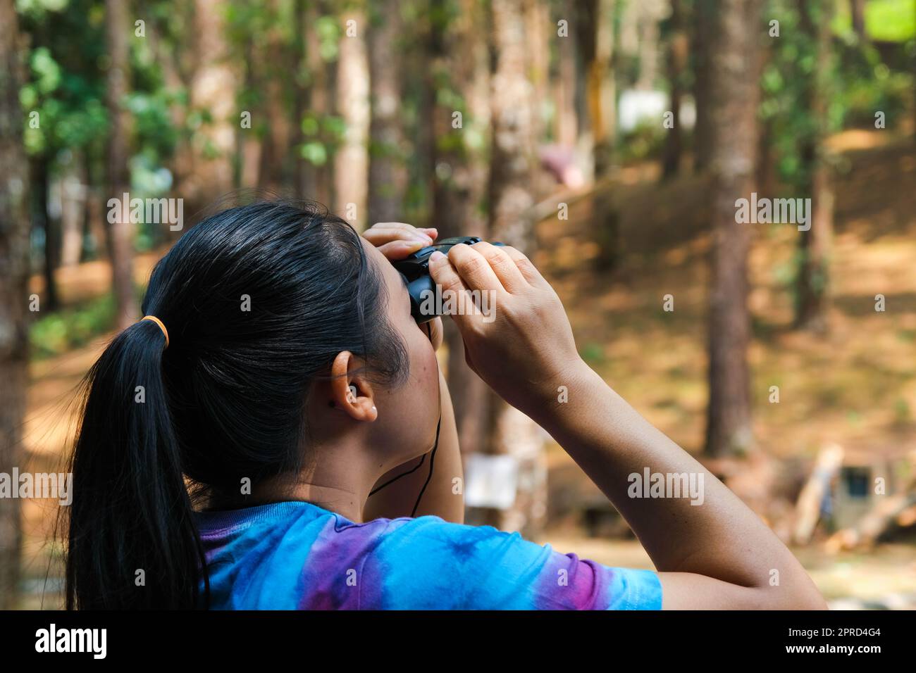 Junge Frau, die Vögel im Wald durch ein Fernglas ansieht. Weiblicher Tourist mit Werkzeug, der die Natur im Wald beobachtet. Gesunder Lebensstil und Ökotouri Stockfoto