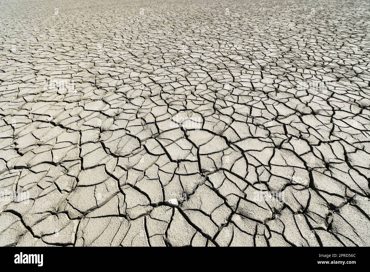 Ein ausgetrockneter, gebrochener Grund auf einem See Stockfoto