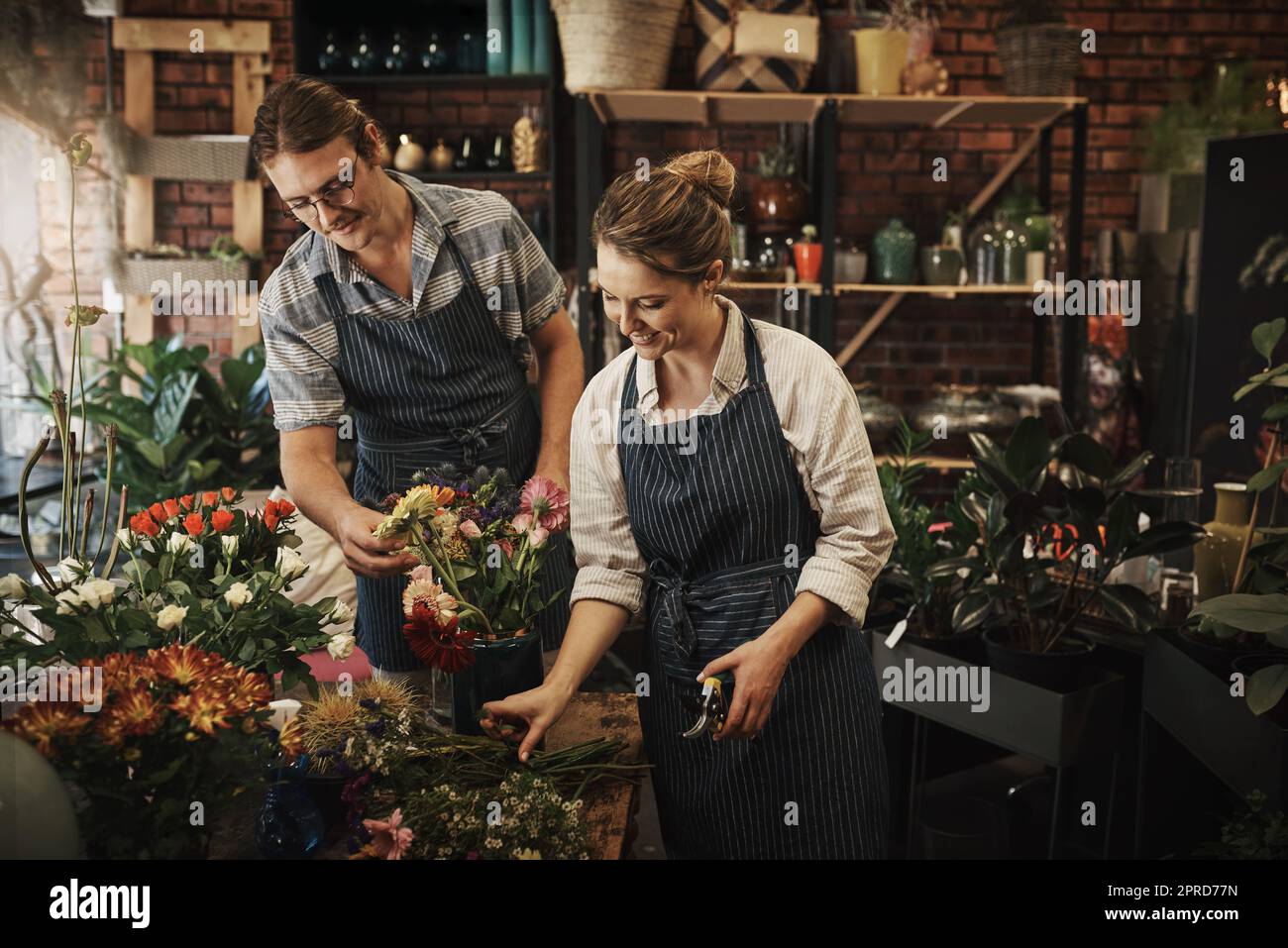 Waren Experten auf dem Gebiet der Floristik. Zwei junge Floristen trimmen Blumen und arbeiten zusammen in ihrer Pflanzenkinderstube. Stockfoto