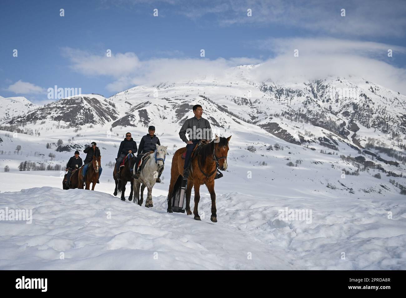 (230427) -- HEMU, 27. April 2023 (Xinhua) -- Suka (Front) inspiziert die Strecke den Berg hinauf mit Mitgliedern eines Pferdeteams im Dorf Hemu in Kanas, Nordwestchina der Uygur Autonomen Region Xinjiang, 30. März 2023. HEMU Village liegt am malerischen Ort Kanas am Ausgangspunkt der G219 National Highway. Suka, die Parteisekretärin des Dorfes, führt die Einheimischen auf dem Weg zur ländlichen Neubelebung. Der Beitritt zum Pferdeteam ist eine wichtige Einnahmequelle für die Dorfbewohner. Jedes Mitglied kann zwei Pferde zum Team bringen, um den Service für Touristen bereitzustellen. Zurzeit sind es 68 Mitglieder des Teams Stockfoto