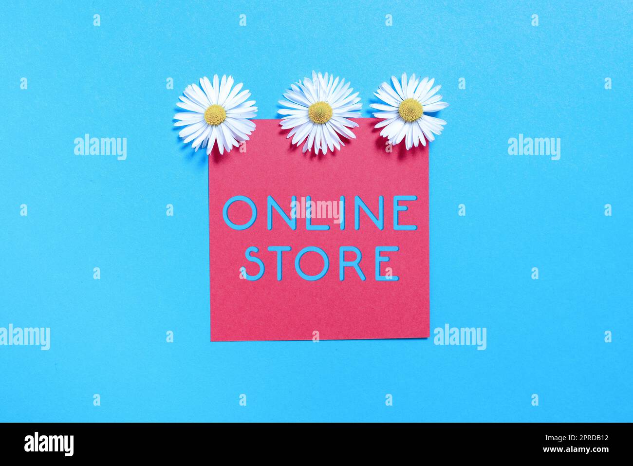 Textüberschrift für den Online-Shop. Geschäftsidee Eine Website, die Artikel zum Verkauf anbietet und Kreditkarten akzeptiert Haftnotizen mit wichtigen Nachrichten mit drei Blumen darüber. Stockfoto