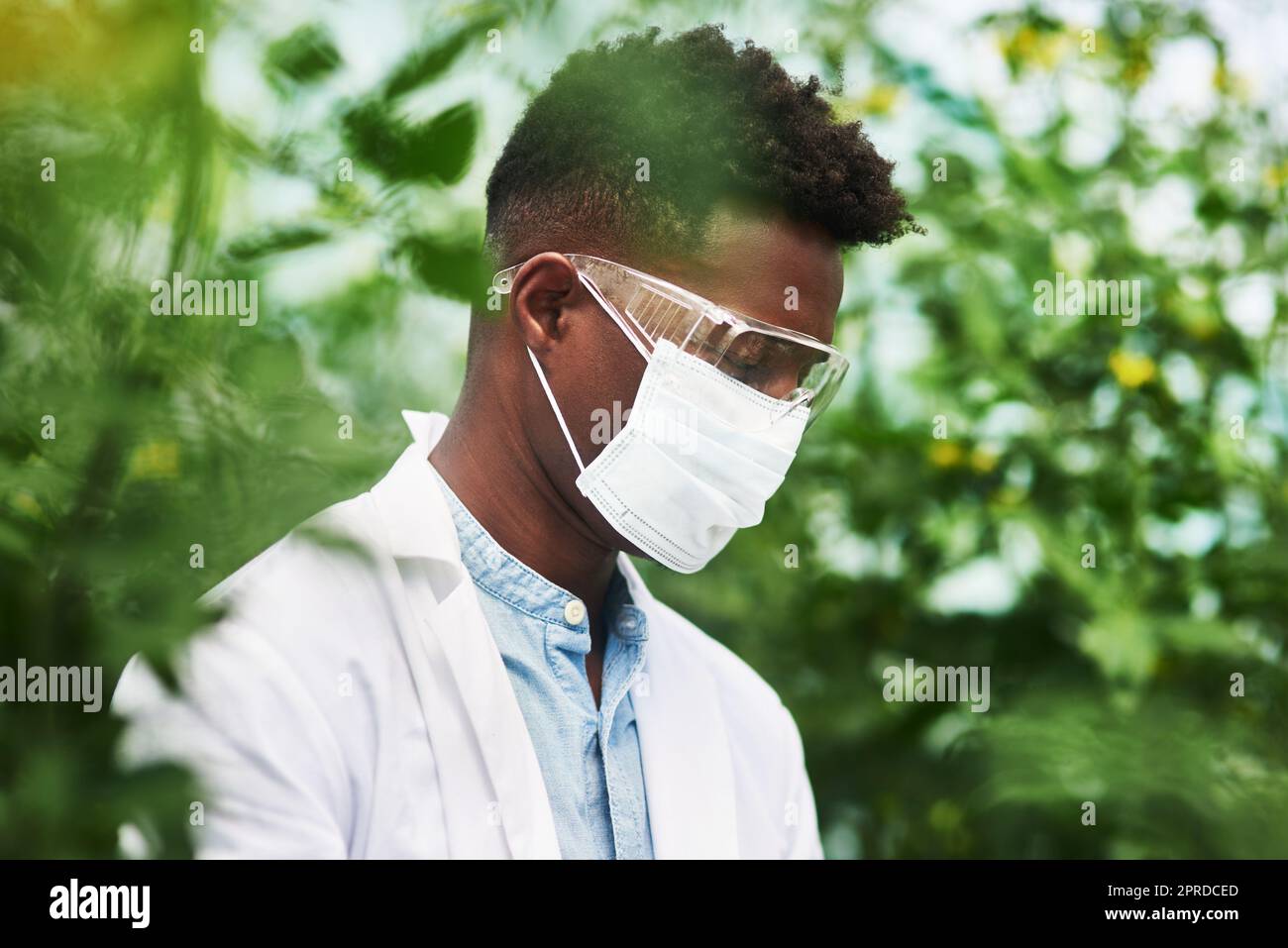 Sie müssen sich zunächst vor Pflanzenallergien schützen. Ein junger Botaniker trägt schützende Augen- und Gesichtsausrüstung, während er im Freien in der Natur arbeitet. Stockfoto