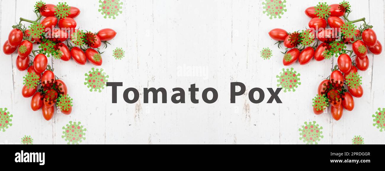 Tomatenpocken, Ausbruch des Virus in Indien, Infektionskrankheit breitet sich aus Stockfoto