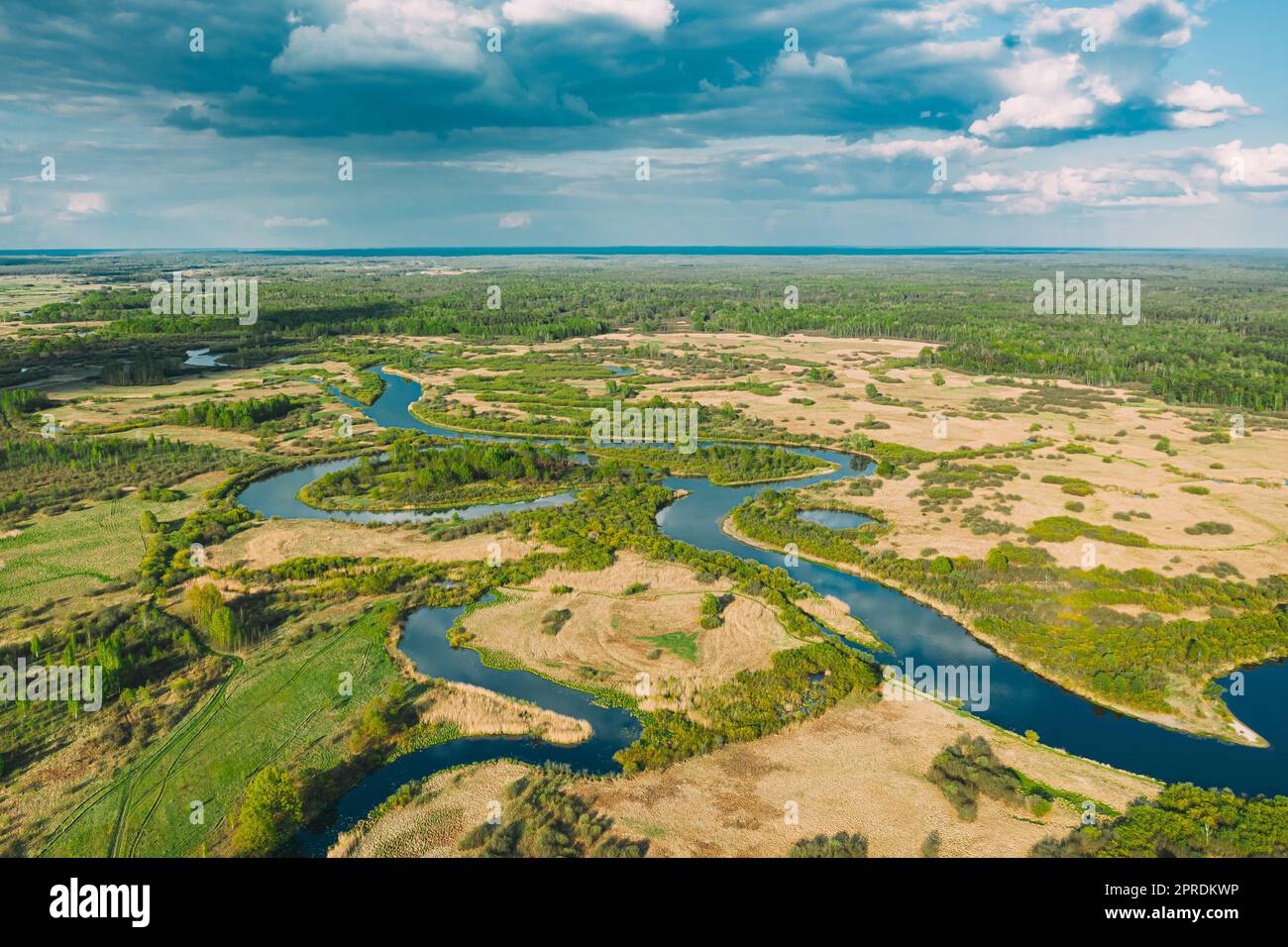 Blick Aus Der Vogelperspektive Auf Grüne Waldwälder Und Flusslandschaft Am Sonnigen Sommertag. Top-Blick Auf Die Wunderschöne Europäische Natur Von High Attitude In Der Frühlingssaison. Drohnenansicht. Vogelperspektive Stockfoto