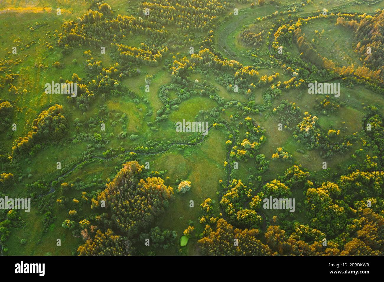 Luftaufnahme Green Forest Woods Park und Creek Stream Landscape am Sommerabend. Blick Von Oben Auf Die Wunderschöne Europäische Natur Von High Attitude. Drohnenansicht. Vogelperspektive Stockfoto
