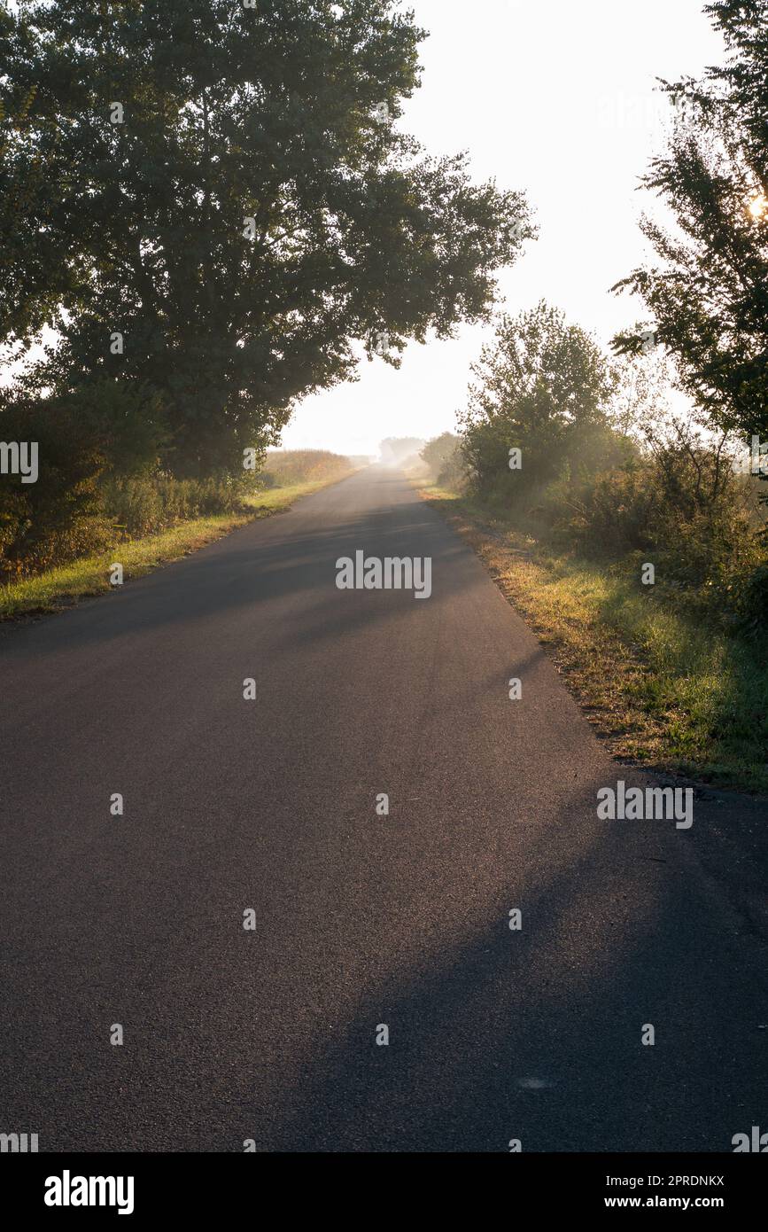 Licht am Ende des Weges Stockfoto