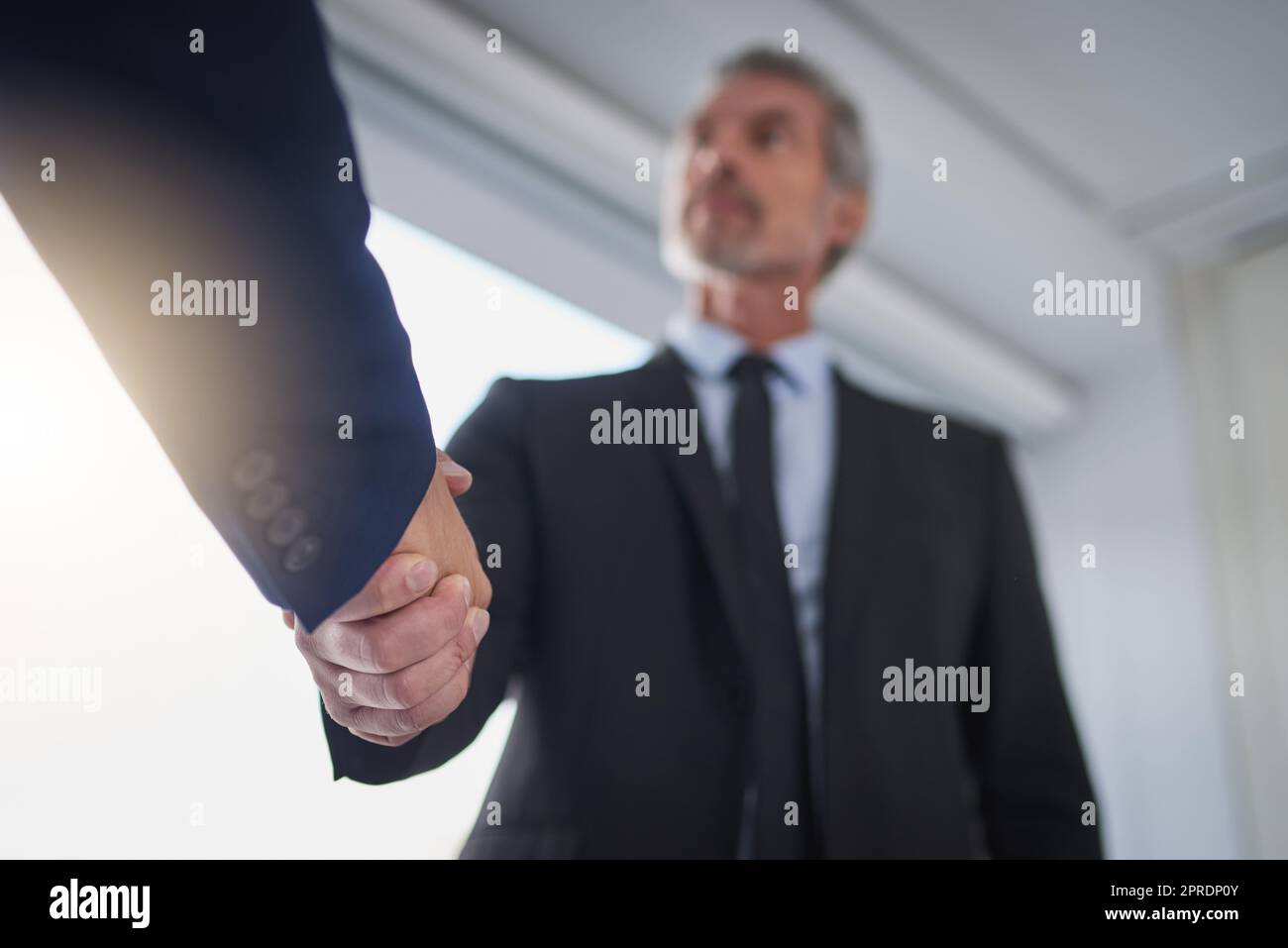Zwei der besten Geschäftsleute. Zwei Geschäftsleute, die sich in einem modernen Büro die Hände schütteln. Stockfoto