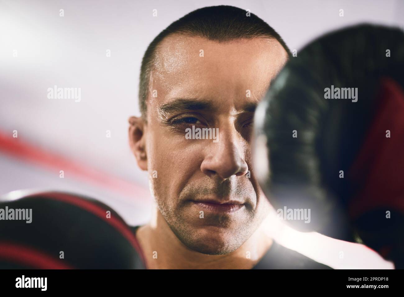 Von Kopf bis Fuß. Porträt eines selbstbewussten jungen Boxers, der Boxhandschuhe trägt und tagsüber in einem Ring in einem Fitnessstudio mit Schlägen gegen die Kamera wirft. Stockfoto