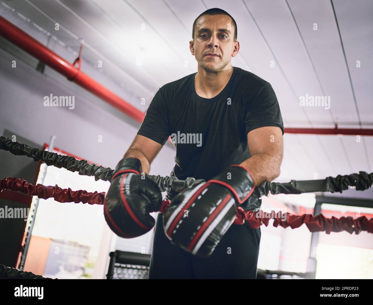Er wartet auf einen Kampf. Porträt eines selbstbewussten jungen Boxers, der tagsüber in einem Fitnessstudio an Seilen in einem Boxring lehnt. Stockfoto