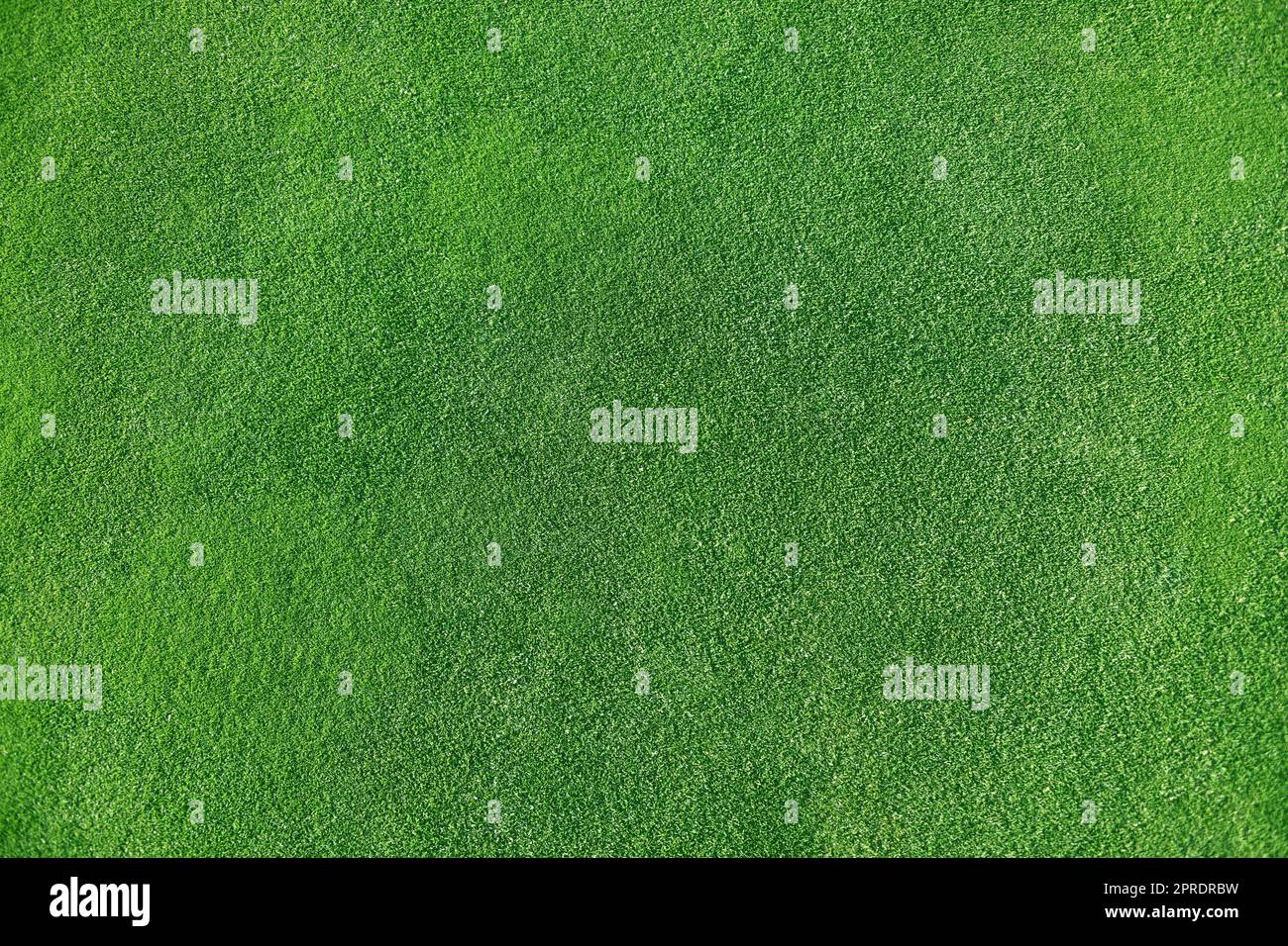 Rasen stadion Fotos und Bildmaterial in hoher Auflösung Alamy
