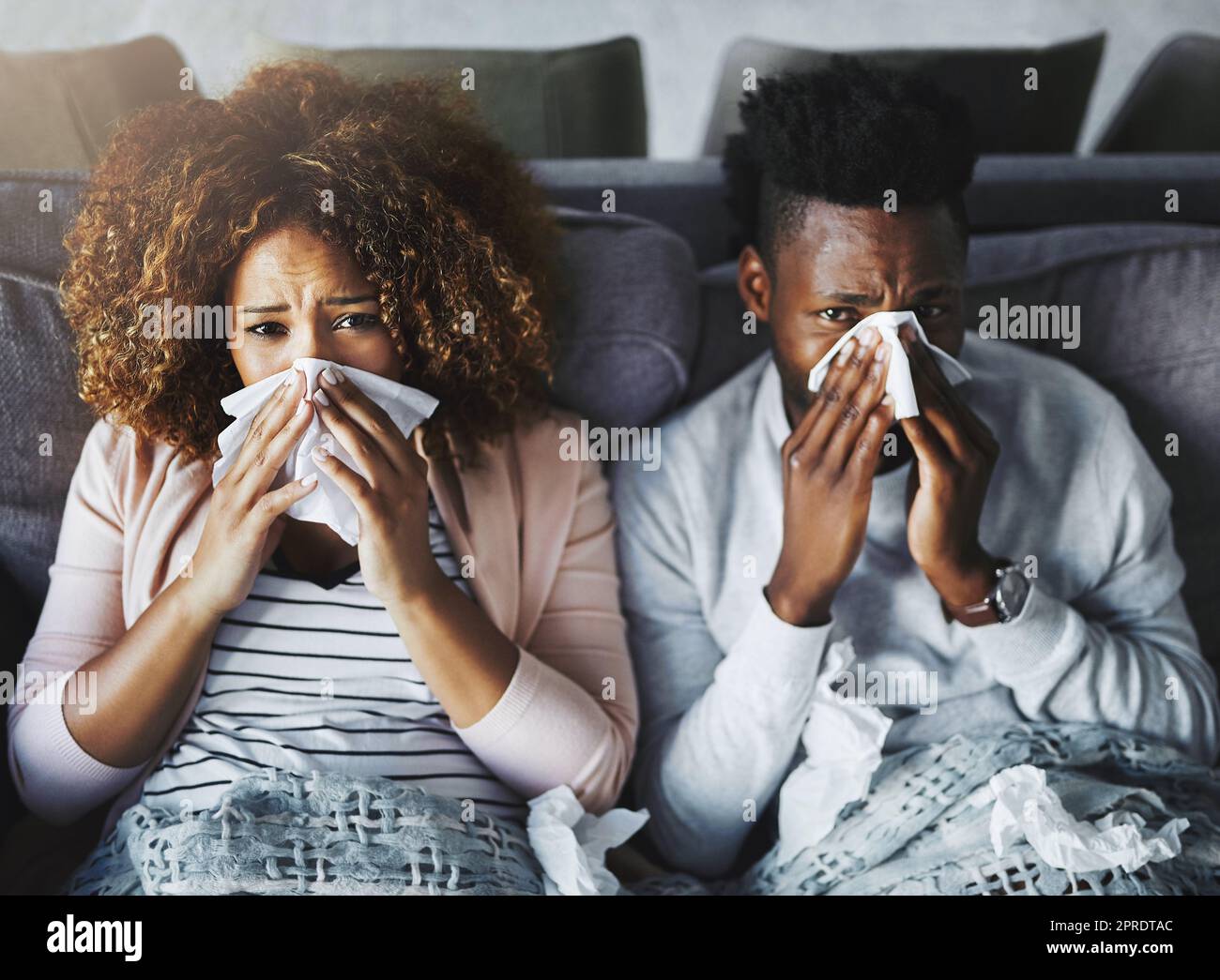 Portrait eines kranken Paares, das zu Hause gemeinsam an Grippe, Korona oder Sinus leidet, sich unwohl und schwach fühlt. Freundin und Freund in Quarantäne, sich von einem Virus erholen und sich drinnen ausruhen Stockfoto