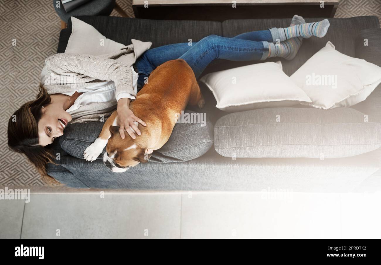 Die eine Freundin, die immer an Ihrer Seite steht. Eine attraktive junge Frau, die zu Hause auf ihrem Sofa sitzt und mit ihrem Hund spielt. Stockfoto