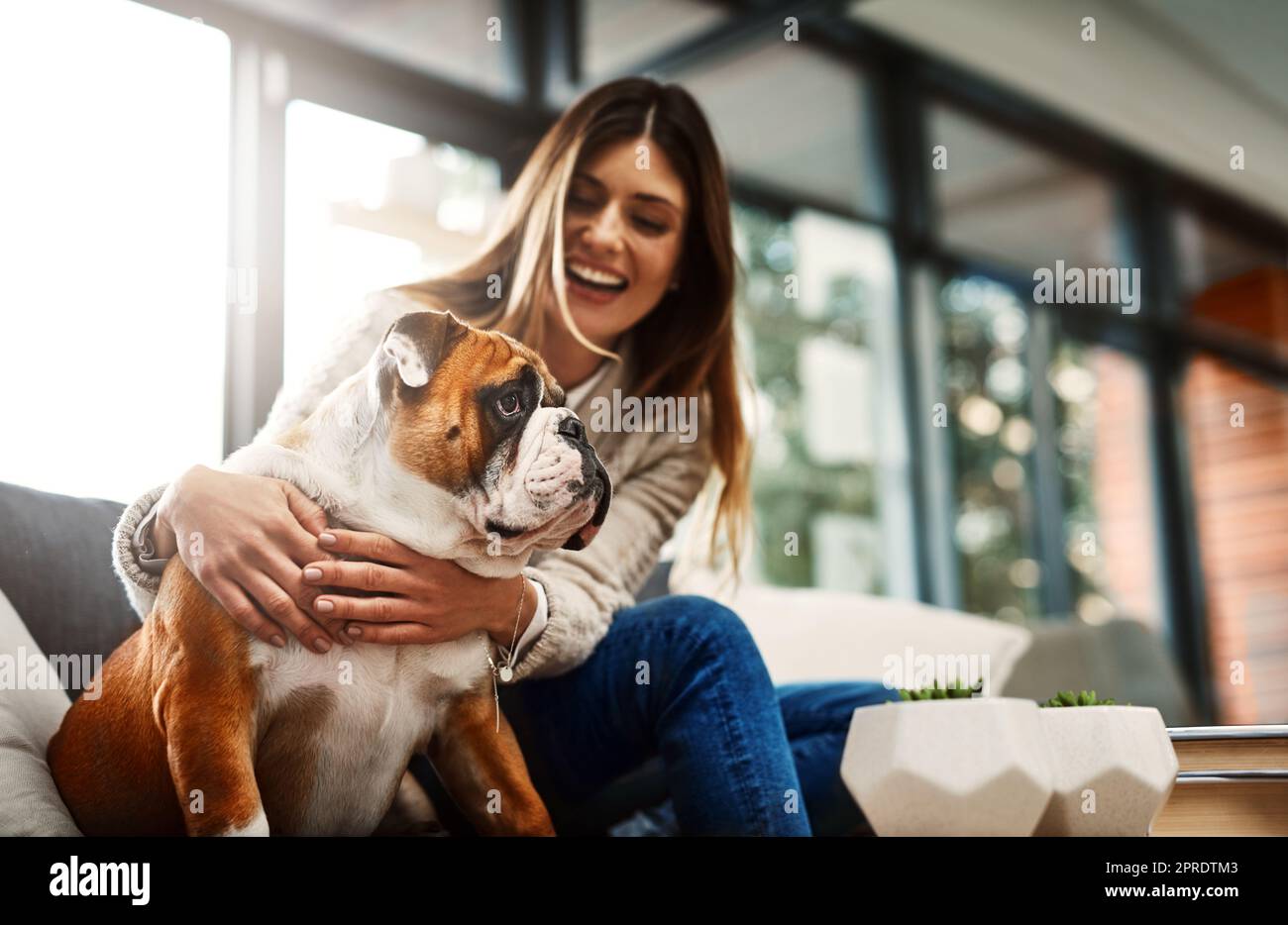 Die besten Menschen im Leben sind Vierbeiner. Eine attraktive junge Frau, die zu Hause auf ihrem Sofa sitzt und mit ihrem Hund spielt. Stockfoto