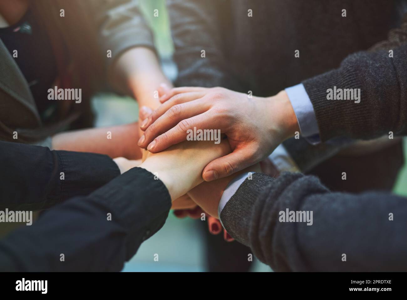 Im Geschäftsleben bewirkt Teamarbeit Wunder. Eine Gruppe von unbekannten Geschäftsleuten, die in einem Büro zusammengedrängt und ihre Hände übereinander gestapelt haben. Stockfoto