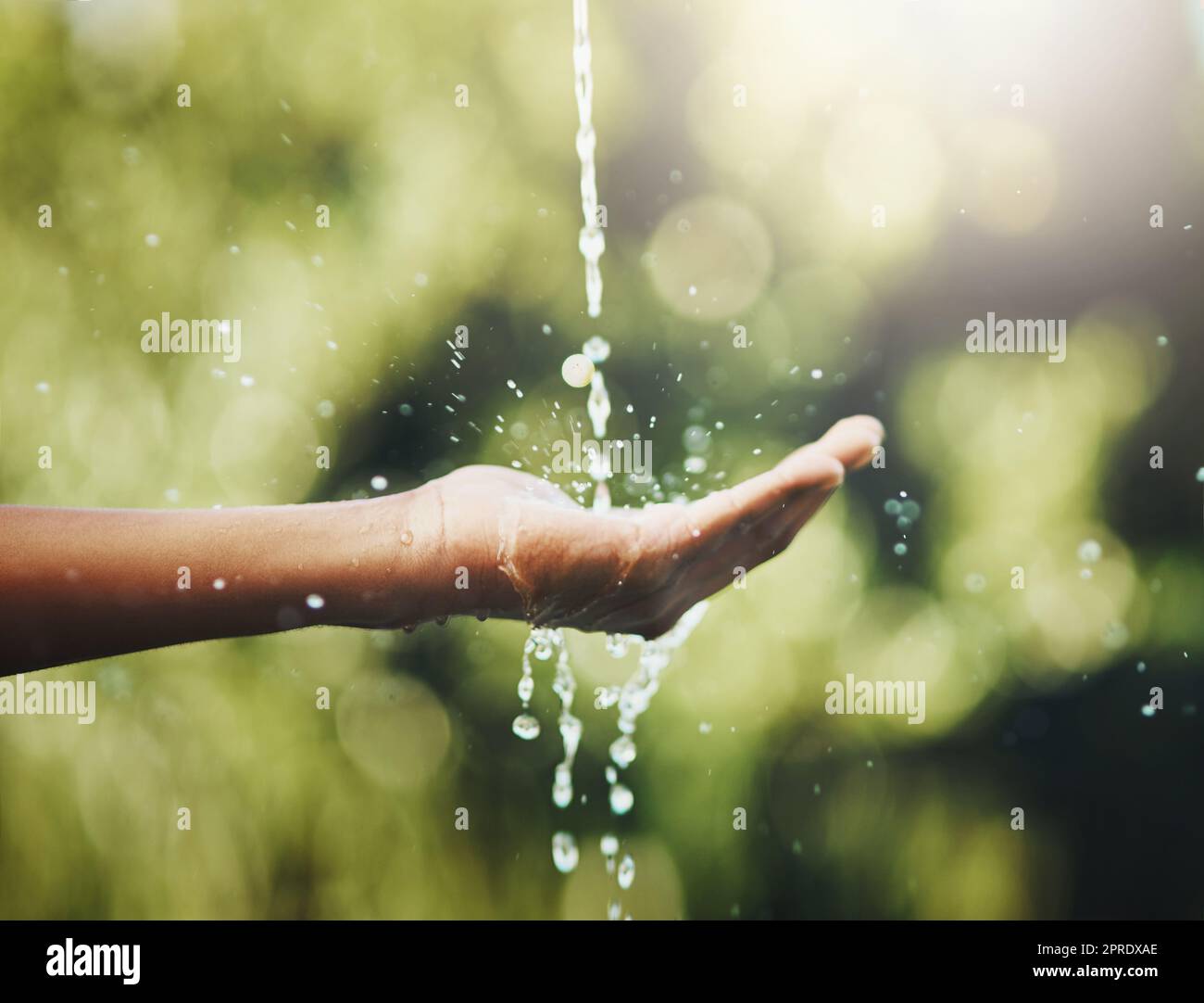 Hygiene, Waschen und Wassersparen mit den Händen vor einem grünen Naturhintergrund. Nahaufnahme einer Person, die ihre Handfläche ausstreckt, um Wasser in einem Park, Garten oder Garten zu sparen, zu sparen und zu erfrischen Stockfoto