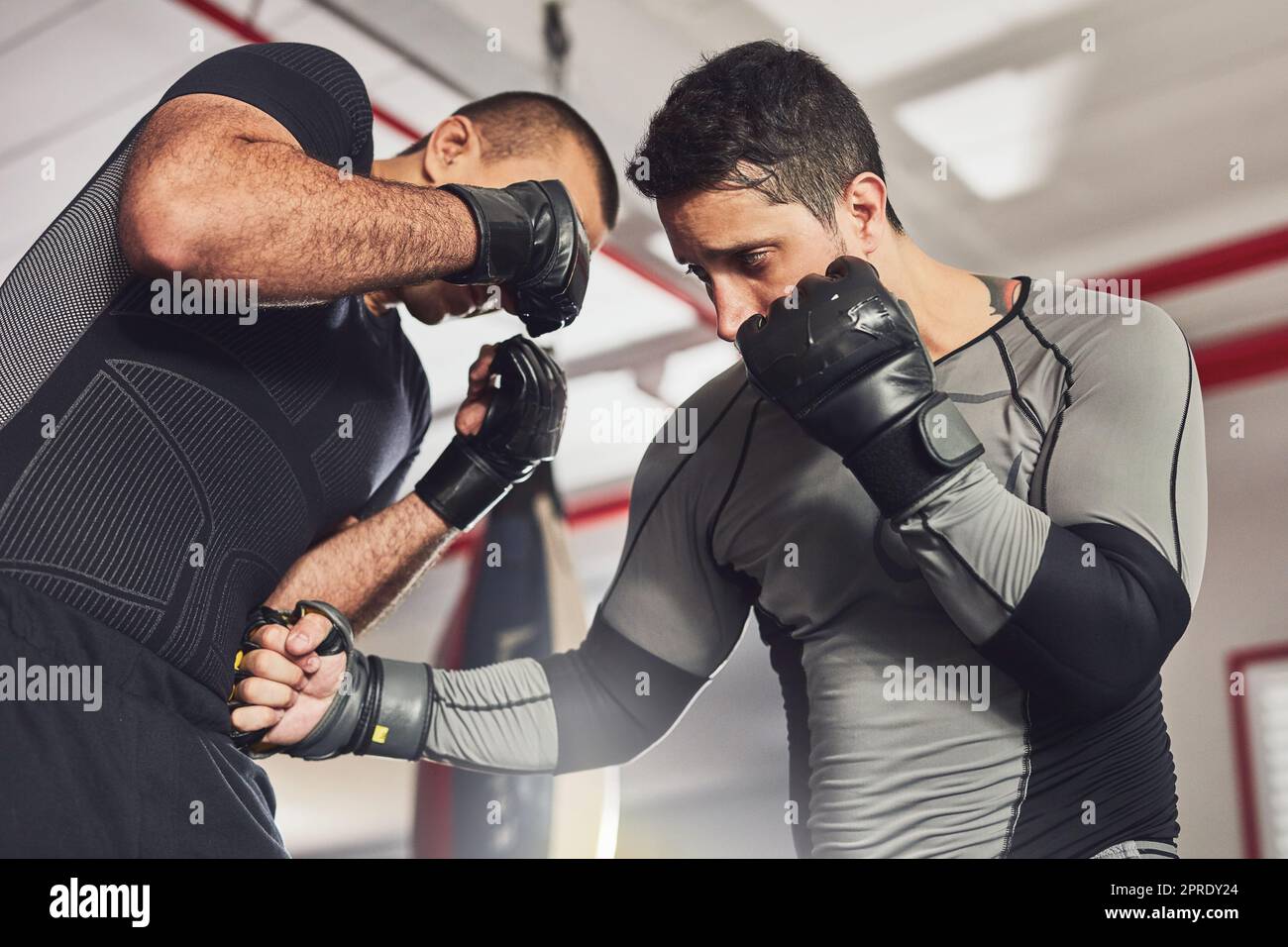 Körperschüsse. Zwei professionelle Kämpfer im Fitnessstudio. Stockfoto