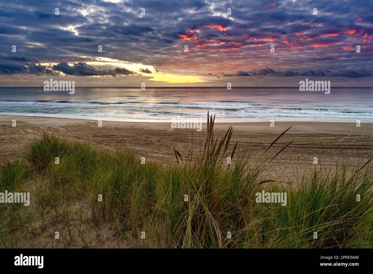 Sonnenuntergang am Meer, Strandgras vor der Tür. North Holland Dune Reserve, Egmond aan Zee, Niederlande. Stockfoto