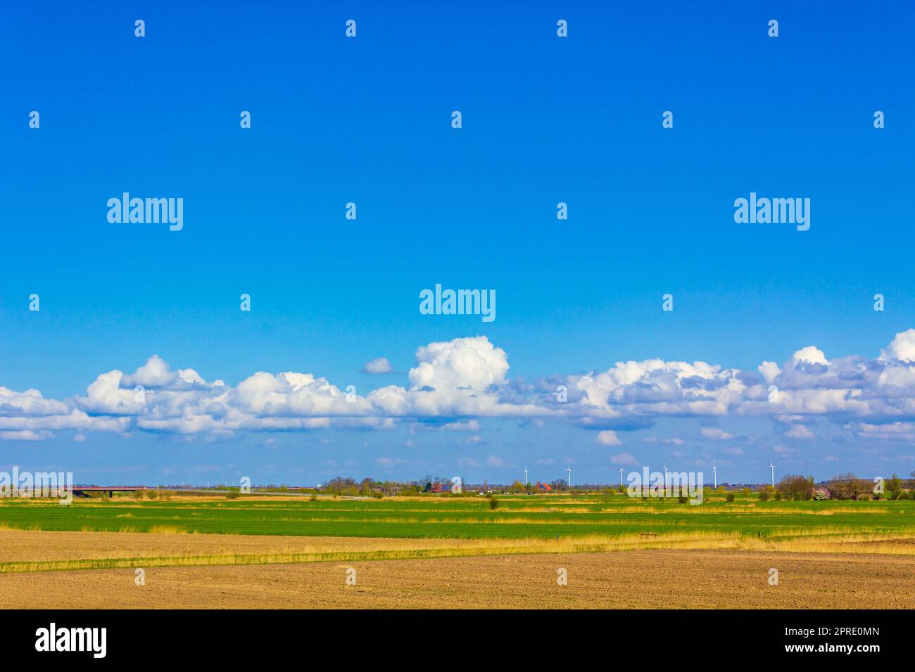 Wadden Sea Tidelands Küstenwaldfelder Landschaft Niedersachsen Deutschland. Stockfoto