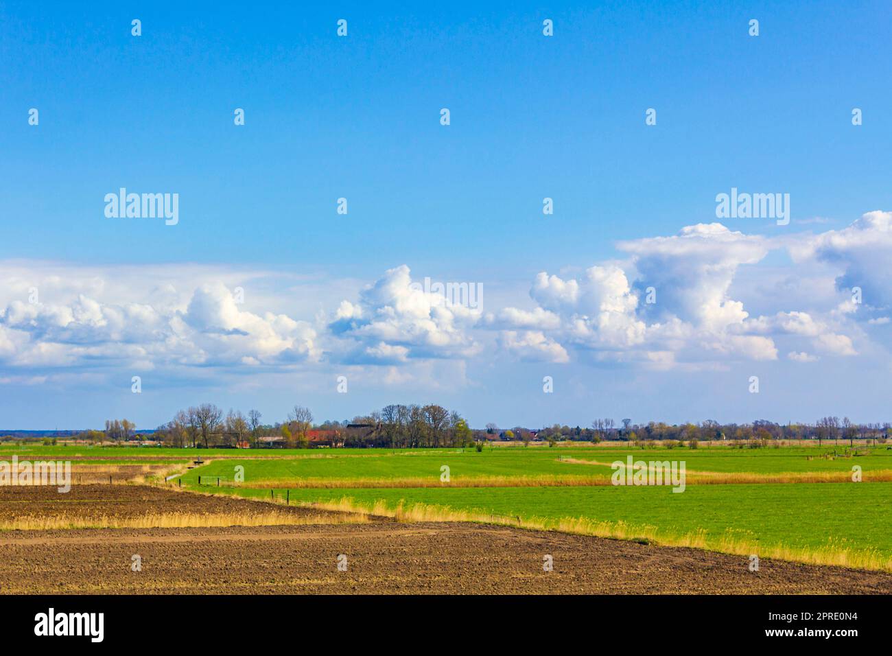 Wadden Sea Tidelands Küstenwaldfelder Landschaft Niedersachsen Deutschland. Stockfoto