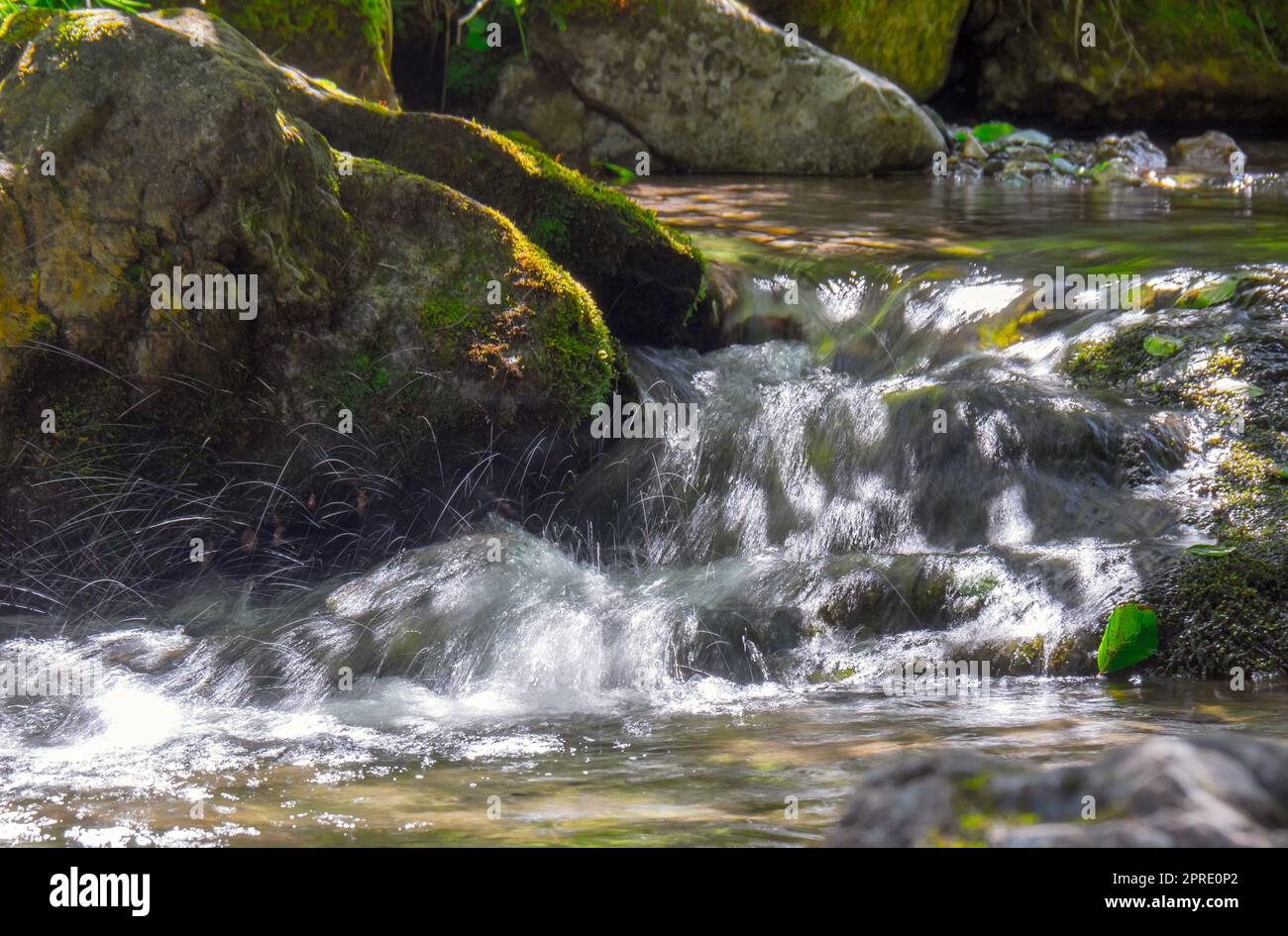 Moos-bedeckte Steine in einem Bergbach Stockfoto