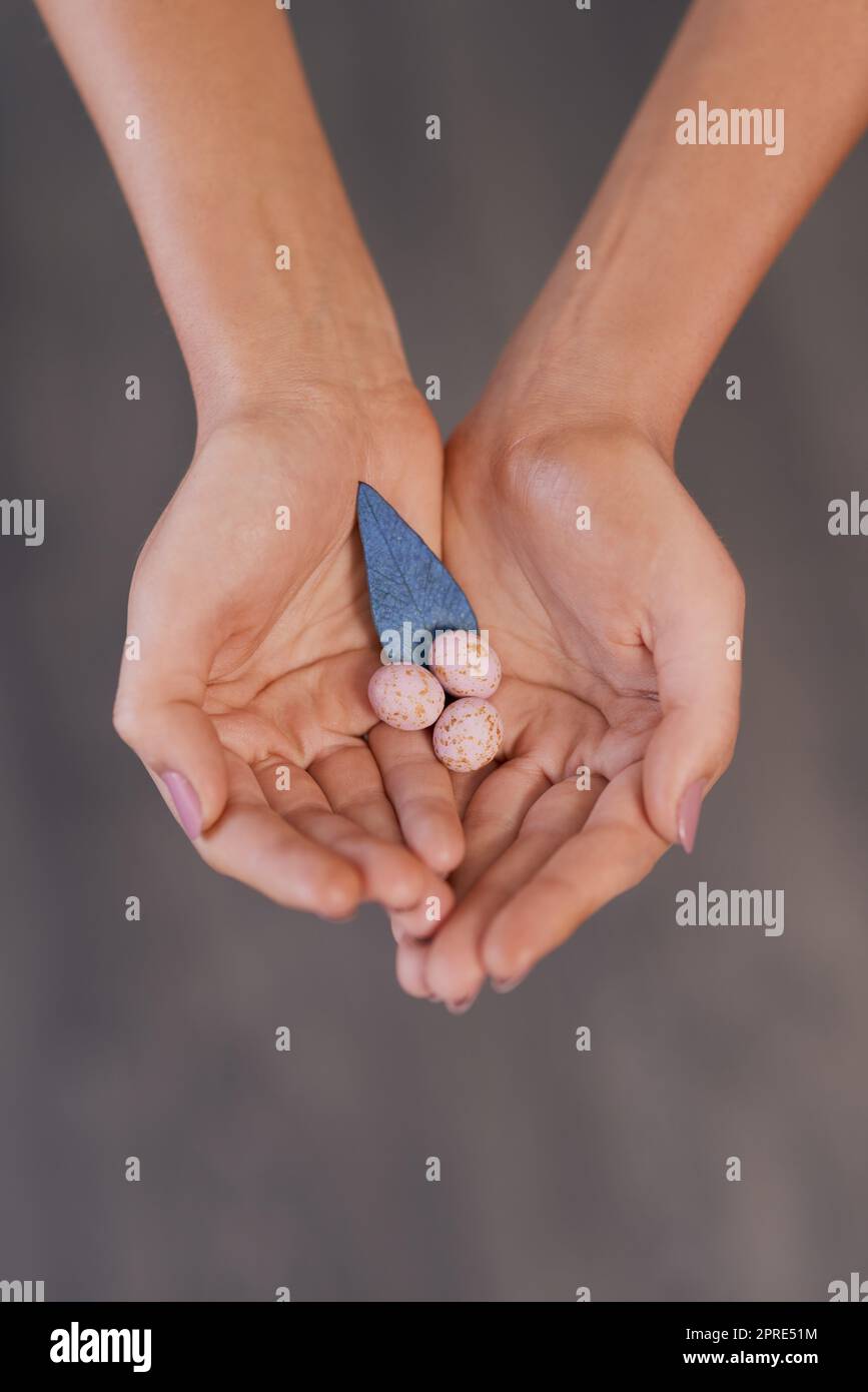 Die kleinen Dinge im Leben. Eine unkenntliche Frau, die gesprenkelte Eier und ein blaues Blatt vor grauem Hintergrund hält. Stockfoto