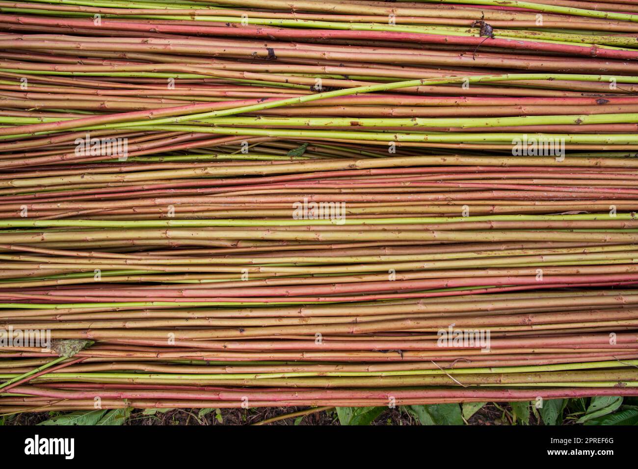 Rot-Grün Raw Jute Textur Hintergrund. Dies ist die sogenannte Golden Fiber in Bangladesch Stockfoto