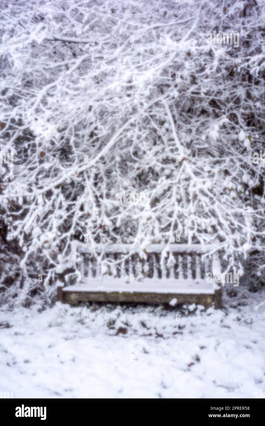 Pinhole Photography Woodland Series. Neu, altersbeständig, digitales Zeitalter, ohne Objektiv, herausragend, Hochauflösendes Nadellochbild einer schneebedeckten Landschaft Stockfoto