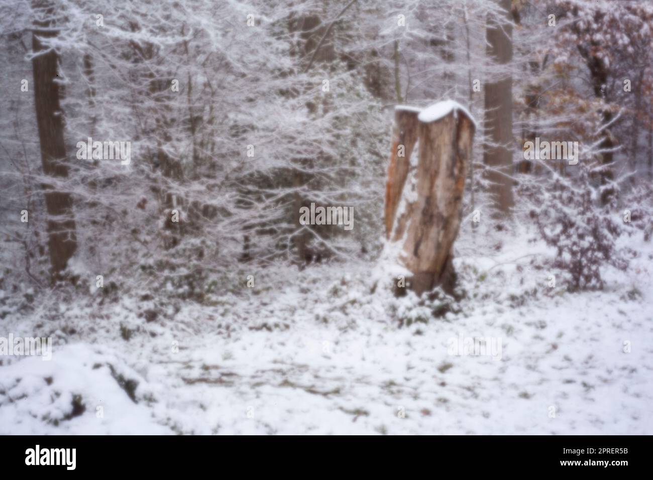 Pinhole Photography Woodland Series. Neu, altersbeständig, digitales Zeitalter, ohne Objektiv, herausragend, Hochauflösendes Nadellochbild einer schneebedeckten Landschaft Stockfoto