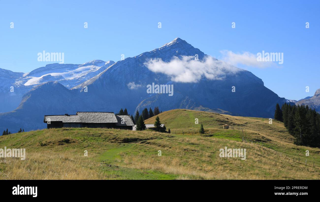 Frühherbstszene auf dem Wispile, Schweiz. Stockfoto