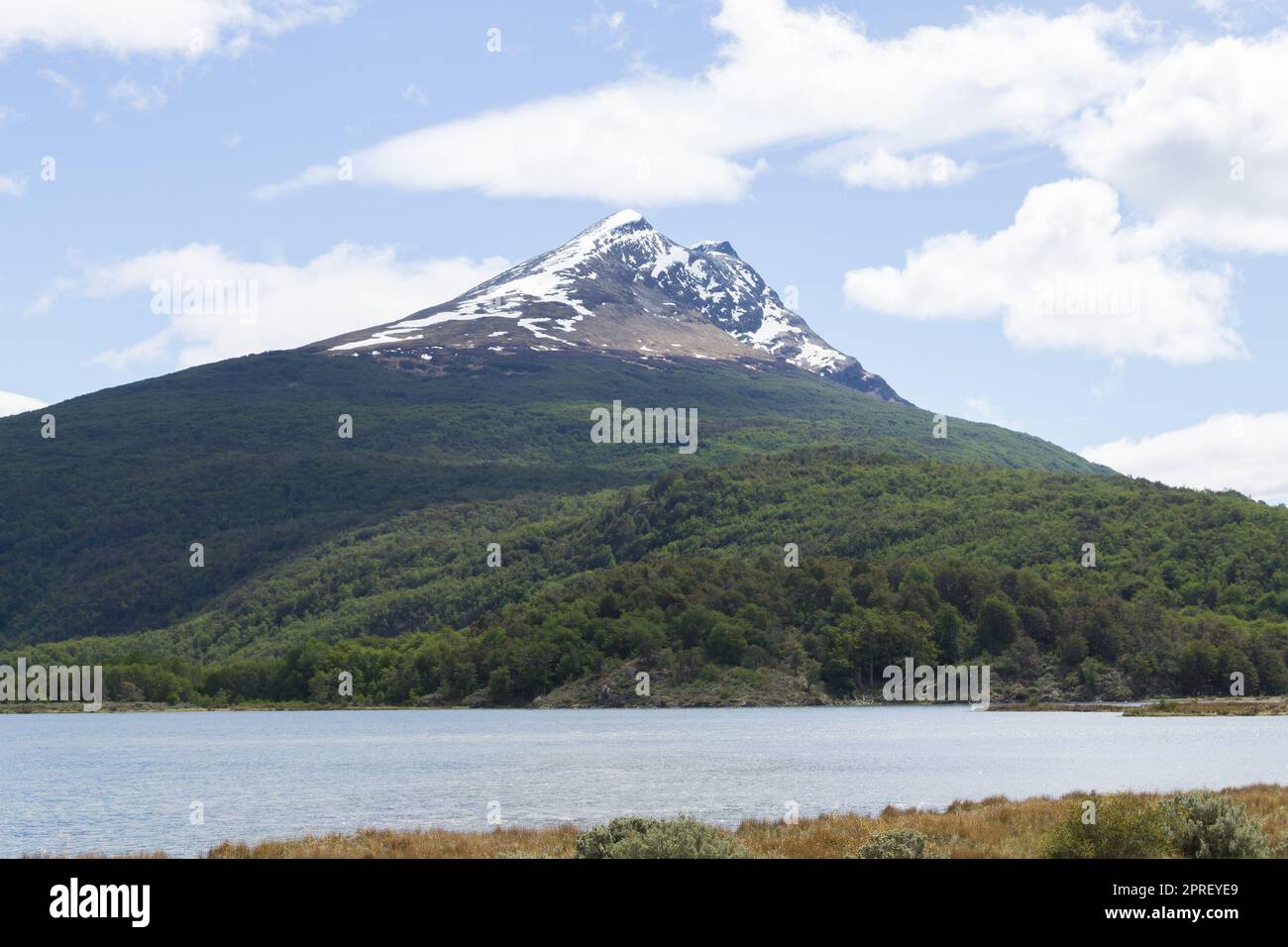 Lapataia Bay Landscape, Tierra del Fuego, Argentinien Stockfoto