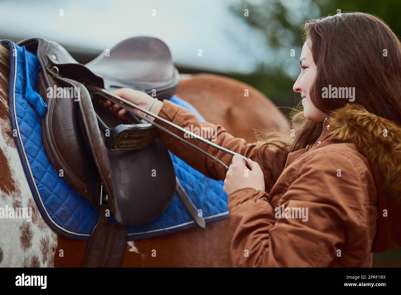 Das Leben ist besser mit einem Pony. Ein Teenager-Mädchen bereitet sich darauf vor, ihr Pony auf einer Farm zu reiten. Stockfoto