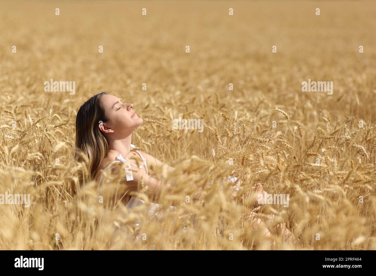 Eine Frau, die frische Luft atmet in einem goldenen Weizenfeld Stockfoto